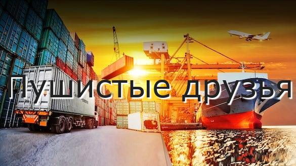 Пушистые друзья